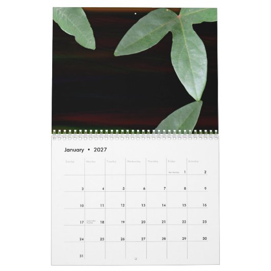 Calendrier Rêves floraux 2009 (Jan 2027)