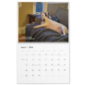Calendrier Rex The TV Terrier 2021 (Mar 2026)