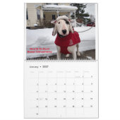 Calendrier Rex The TV Terrier 2021 (Jan 2027)