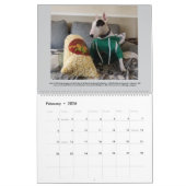 Calendrier Rex The TV Terrier 2025 Bull Terrier Faits Calenda (Feb 2026)