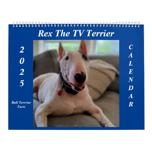 Calendrier Rex The TV Terrier 2025 Bull Terrier Faits Calenda (Protection)