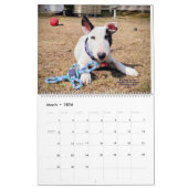 Calendrier Rex The TV Terrier Inc. Spike 2026 Calendar (Mar 2026)