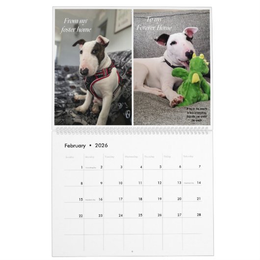 Calendrier Rex The TV Terrier Inc. Spike 2026 Calendar (Feb 2026)