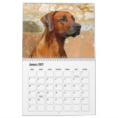 Calendrier Rhodesian Ridgeback (Jan 2027)