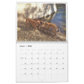 Calendrier Rhodesian Ridgeback 2020 (Mar 2026)