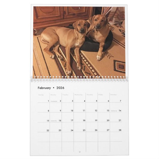 Calendrier Rhodesian Ridgeback 2020 (Feb 2026)