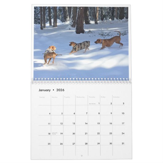 Calendrier Rhodesian Ridgeback 2020 (Jan 2026)