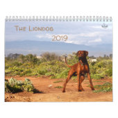 Calendrier Rhodesian Ridgeback - Liondog - 15 mois (Protection)