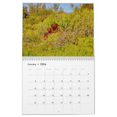 Calendrier Rhodesian Ridgeback - Liondog - 15 mois (Jan 2026)