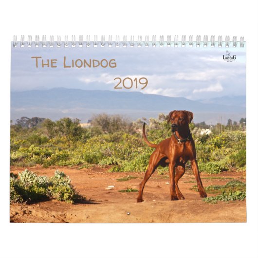 Calendrier Rhodesian Ridgeback - Liondog - 15 mois (Protection)