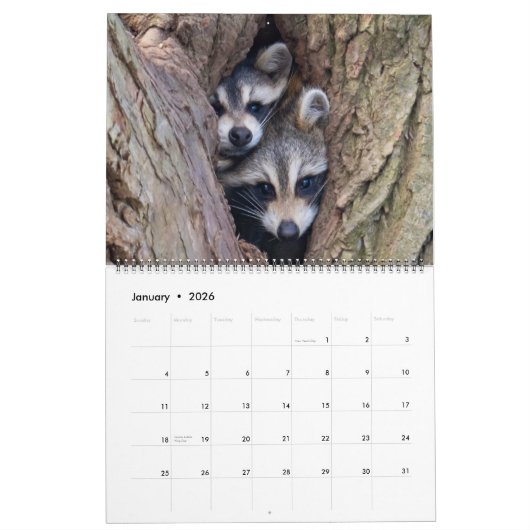 Calendrier Ridley's Reflections 2026 Calendar (Jan 2026)