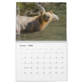 Calendrier Roaming with Giants - A Grizzly Bear Calendar (Jan 2026)