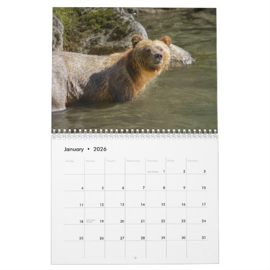 Calendrier Roaming with Giants - A Grizzly Bear Calendar (Jan 2026)
