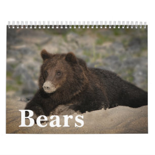 Calendrier Roaming with Giants - A Grizzly Bear Calendar