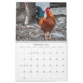 Calendrier Roosters Nature Agritourisme Animaux Oiseaux (Feb 2027)