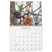 Calendrier Roosters Nature Agritourisme Animaux Oiseaux (Jan 2027)