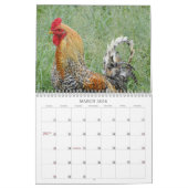 Calendrier Roosters Nature Agritourisme Animaux Oiseaux (Mar 2026)