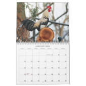Calendrier Roosters Nature Agritourisme Animaux Oiseaux (Jan 2026)