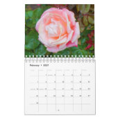 Calendrier rose #1 (Feb 2027)
