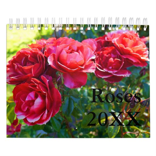 Calendrier rose #1 (Protection)