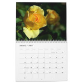 Calendrier rose 2013 (Jan 2027)