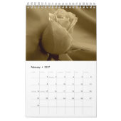 Calendrier Rose 2015 - retour dans le temps (Feb 2027)