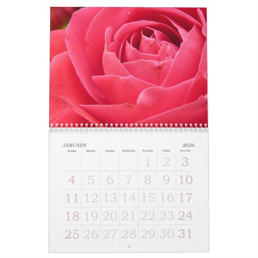 Calendrier rose 2019 Grande impression (Jan 2026)
