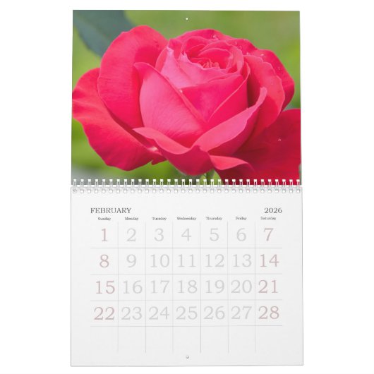 Calendrier rose 2019 Grande impression (Feb 2026)