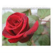 Calendrier rose d'amants de gratitude (Protection)