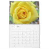Calendrier rose de jolies images (Jan 2027)