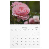 Calendrier rose des roses 2010 (Jan 2027)