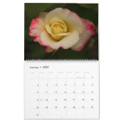 Calendrier Roses étonnants (Jan 2027)