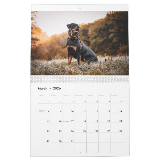 Calendrier Rottweiler (Mar 2026)