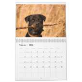 Calendrier Rottweiler (Feb 2026)