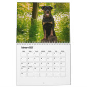 Calendrier Rottweiler (Feb 2027)