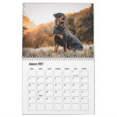 Calendrier Rottweiler (Jan 2027)