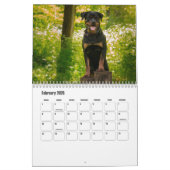 Calendrier Rottweiler (Feb 2026)