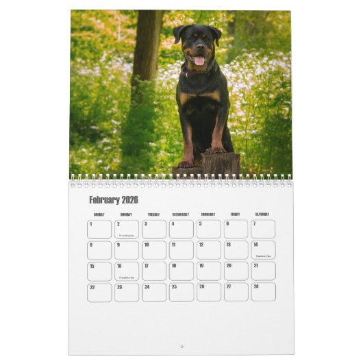Calendrier Rottweiler (Feb 2026)