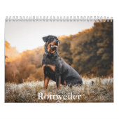 Calendrier Rottweiler (Protection)