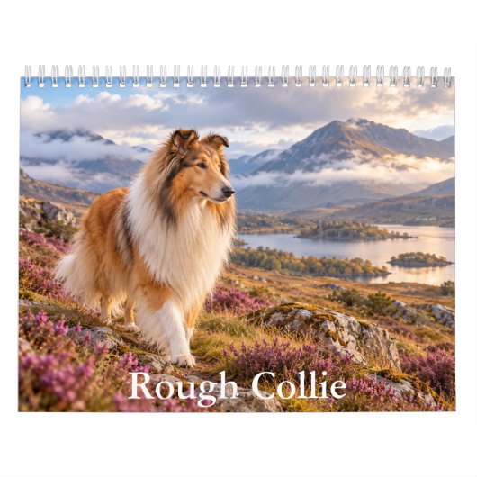 Calendrier Rough Collie (Protection)