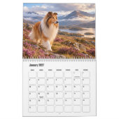 Calendrier Rough Collie (Jan 2027)