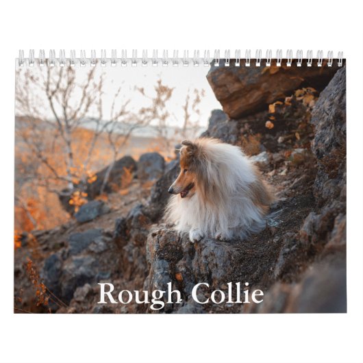 Calendrier Rough Collie (Protection)