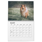Calendrier Rough Collie Calendar (Mar 2027)