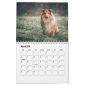 Calendrier Rough Collie Calendar (Mar 2026)