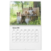 Calendrier Rough Collie Calendar (Feb 2026)