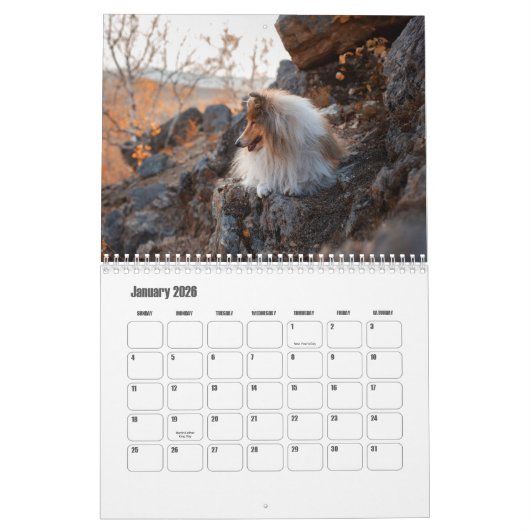 Calendrier Rough Collie Calendar (Jan 2026)