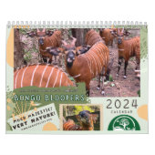 Calendrier RSCF Bongo Bloopers 2024! (Protection)