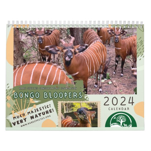 Calendrier RSCF Bongo Bloopers 2024! (Protection)