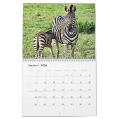 Calendrier RSD dans le monde | Afrique du Sud Safari Animaux (Jan 2026)