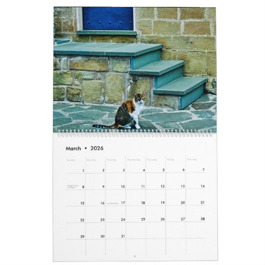 Calendrier RSD dans le monde | Chats des Balkans (Mar 2026)